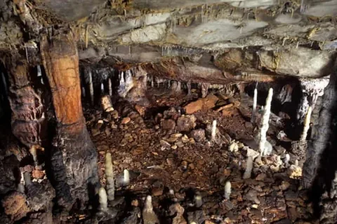 La Garma Cave Reveals Pristine Paleolithic Dwelling