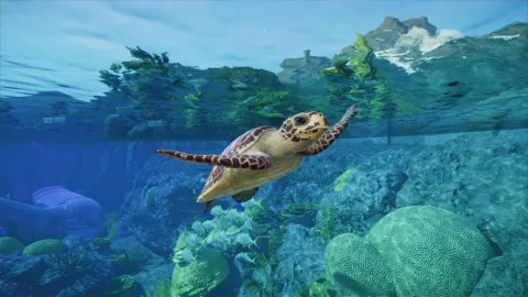 Planet Zoo 2 review: Superstar animals and frustrating micromanagement
