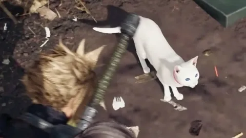 なぜJRPGには猫を助けるクエストが必ずあるのか？