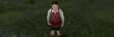 LOTRO Legendarium: Making friends in LOTRO’s new neighbour system