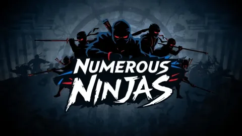 Numerous Ninjas 多数の忍者