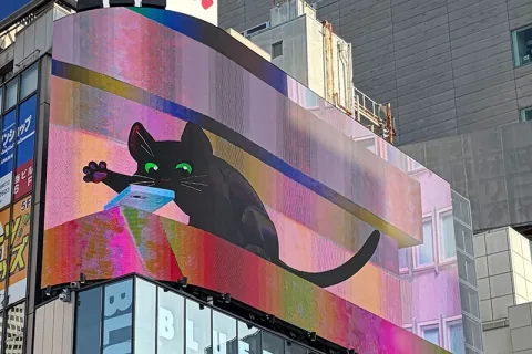 Little Kitty, Big City Cat Appears on Cross Shinjuku Vision