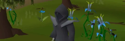 RuneScape elaborates on its plugin release timing, Old School RuneScape previews hardcore worlds
