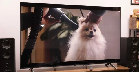 LG의 RGB LED TV는 특정 상황에서는 좋지만, OLED가 더 낫다