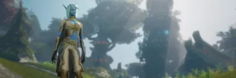 Vague Patch Notes: The business models of MMO expansion bundling