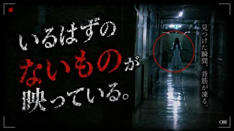 『いるはずのないもの』が映っている。ー見つけた瞬間、背筋が凍る。ー