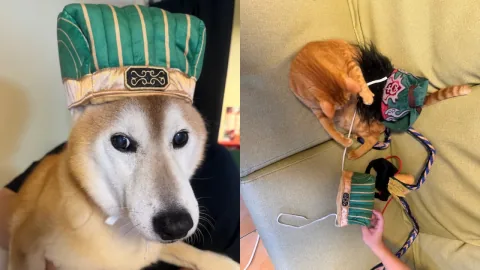 Laya Burger Launches Dynasty Warriors Pet Headgear Collaboration